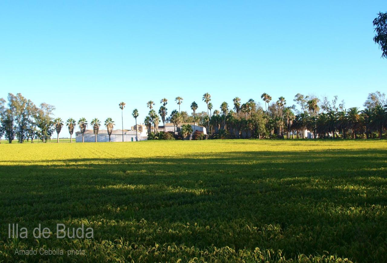 Villa Paquita - Delta De L'Ebre Deltebre Bagian luar foto