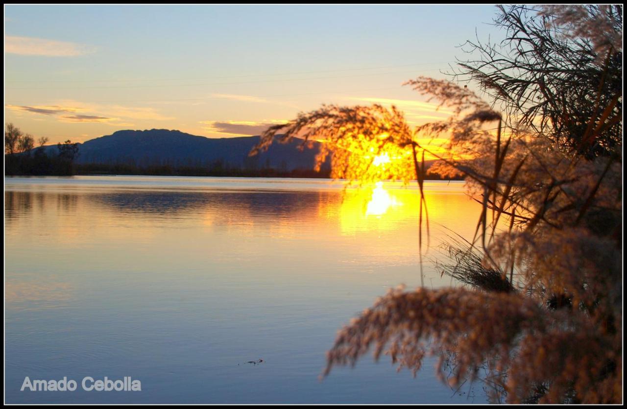 Villa Paquita - Delta De L'Ebre Deltebre Bagian luar foto